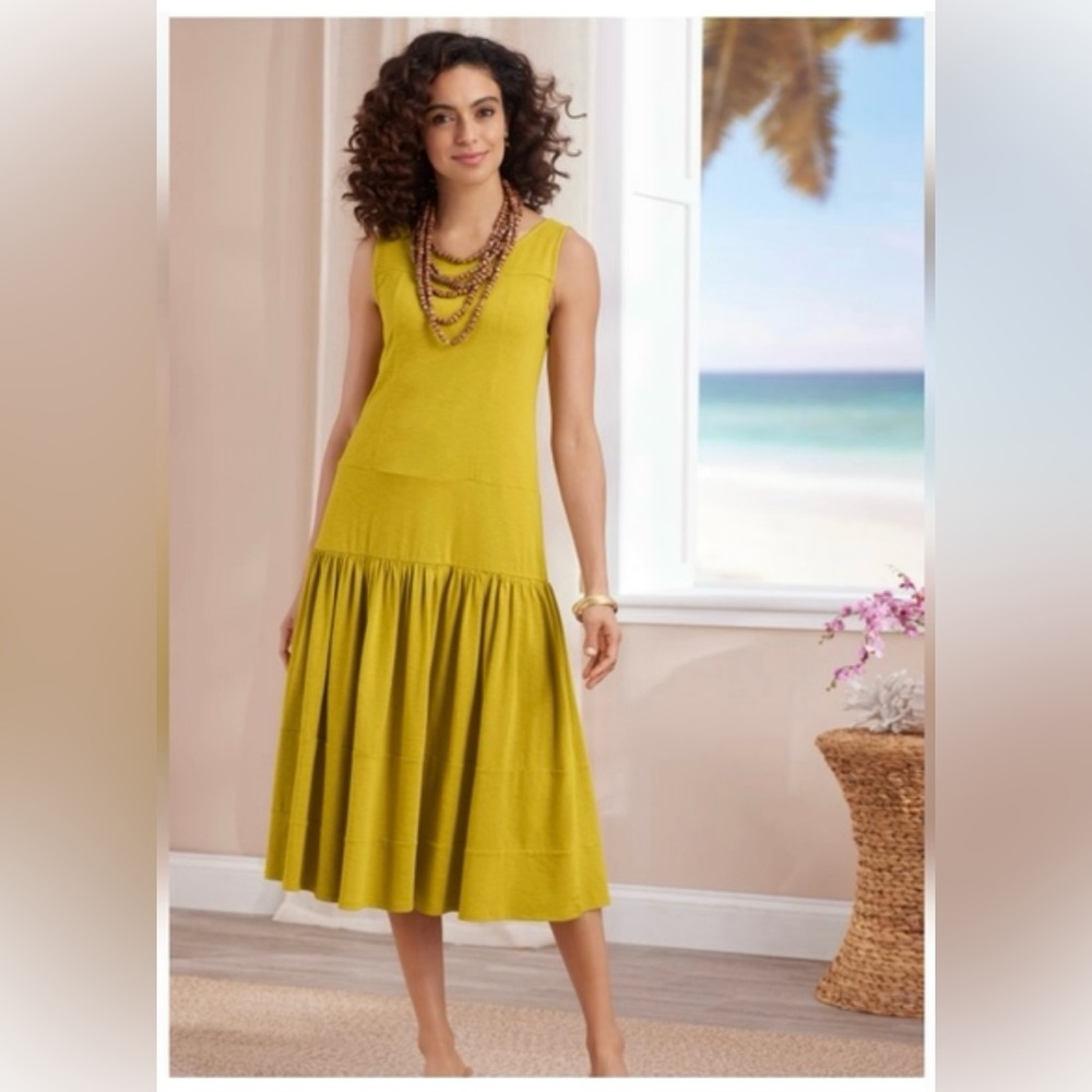 Soft Surroundings Elaine Dress